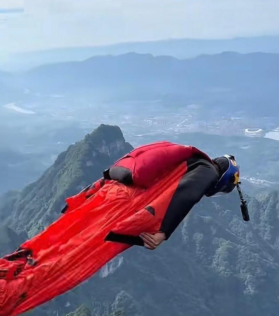 今年的阵容 今年的阵容